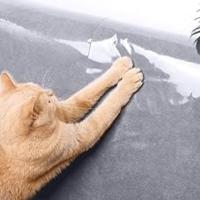 Protector de muebles para gatos, rascador de sofá, almohadillas para patas, cinta de entrenamiento, Protector de arañazos, protección de sofá - details 2