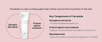strengthen skin barrier soothing ceramide protect hydration prevent breakouts rejuvenate wrinkles