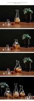 Botella de vidrio sin plomo, whisky, vodka, sake, shochu, herramienta de bar doméstico, 300-400 ml - details 2