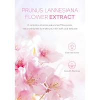 LAIKOU Essential Gel exfoliante profundo cuidado de la piel blanqueamiento reparación hidratante - details 5