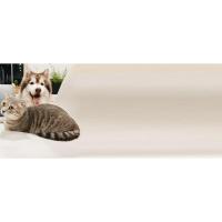 Cama Suave y Cálida para Mascotas Nido de Abrazo de Donut para Gatos y Perros - details 0