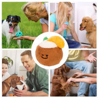 Juguete de Perro Cocoanut Resistente al Desgaste Duck con Voz para Mascotas - details 1