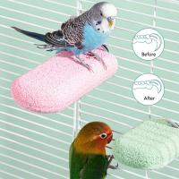 Palos de molienda de patas de superficie rugosa, plataforma de salto de resina, poste de pie para loros resistente al desgaste, amoladora de uñas con pico antideslizante - details 6