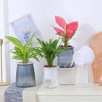 ETA hidropónico perezoso absorbente de agua de riego automático, mini jarrón de mesa de comedor ETA jugoso, decoración de bonsái para el hogar - details 9