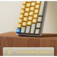 Teclado mecánico para juegos con cable MUCAI-USB, interruptores ópticos Gateron para escritorio, eje retroiluminado por LED, 61 teclas - details 1