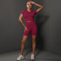Conjuntos de Yoga para Mujeres Pantalones Deportivos sin Costuras, Tops Cortos - details 9