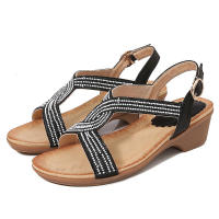 Sandalia 2025 Nuevas sandalias de moda con diamantes de agua Zapatos de mujer con tacón inclinado y parte inferior gruesa - details 1