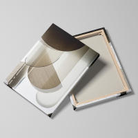 Pintura Moderna en Lienzo de DHROOM con Marco de Oro y Negro Textura Orgánica Rústica en Blanco para Decoración de Pared de Sala de Estar - details 0