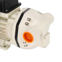 Bomba de Diagrama 230 V Autocebante, 34 l/min, Conexiones, Bomba de Agua - details 3