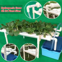 Kit de cultivo hidropónico para plantas hidropónicas, sistema de jardín, herramienta de cultivo de verduras, 36 agujeros, 4 tubos, 36 lugares, 4 tubos - details 3