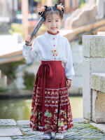 Conjunto de Falda Hanfu para Niñas Otoño 2025 Traje de Estilo Chino Antiguo para Actuaciones de Recitación Zapatos y Ropa - details 27