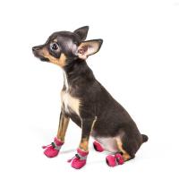 Zapatos impermeables antideslizantes, Botas de lluvia, calzado para gatos pequeños, perros, cachorros, patas de accesorios para mascotas, 4 unids/set - details 2