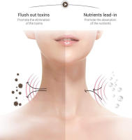 Equipo de Belleza Levantamiento y Decoloración del Hogar de las Líneas del Cuello Masajeador Reafirmante Facial Introductor de Microcorriente Cuidado de la Piel Facial - details 7