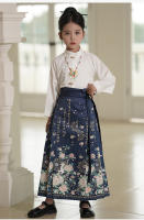 Falda Ma Mian Hanfu conjunto mejorado estilo chino antigua dinastía Ming disfraz Tang verano para niños - details 15
