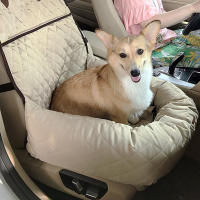 Almohada de Algodón Engrosado Calentada para Coche Almacenamiento de Mascotas Seguro en Coche - details 6