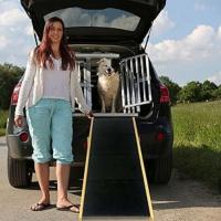 Escalera plegable para perros