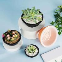 ETA de plástico para plántulas, plantas suculentas, recipiente de 165x74cm, decoración de escritorio, 6 piezas. - details 2