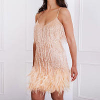 Nueva moda vestido de empalme de plumas de lentejuelas con flecos vestidos coloridos - details 9
