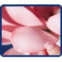 Linterna 3D del Festival del Medio Otoño, flor de loto, conejo, linterna de loto del Medio Otoño, papel hecho a mano, Kit de Material de linterna DIY para niños - details 11