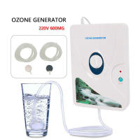 Generador de ozono, 220 V, generador de ozono, dispositivo de ozono, purificador de aire de ozono, purificador de aire, 600 g/h, portátil, ozono, para agua, verduras, frutas - details 0