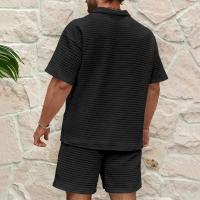 Conjunto deportivo para hombre, Polo de Color sólido, cómodo, informal, a la moda, novedad de verano, 2025 - details 5