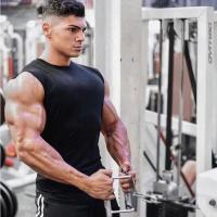 Camiseta de Tank sin Mangas para Hombres Moda Deportiva sin Rastro Estampa Algodón Para Otoño - details 4
