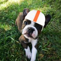 Gorro de Protección Exterior ATUBAN para Mascotas Estilo Moderno para Juegos de Fútbol con Agujeros en las Orejas Material de Acrílico y Poliéster Apto para Todas las Razas - details 5