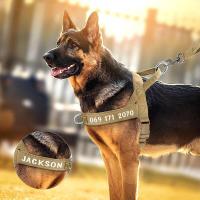 Arnés de nailon personalizado para perros, chaleco reflectante sin lágrimas para perros medianos y grandes, suministros de entrenamiento para pastor alemán - details 9