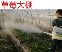 Máquina de Desinfección de Niebla de Doble Tubo de Petrolio de Titanio 80K - details 4