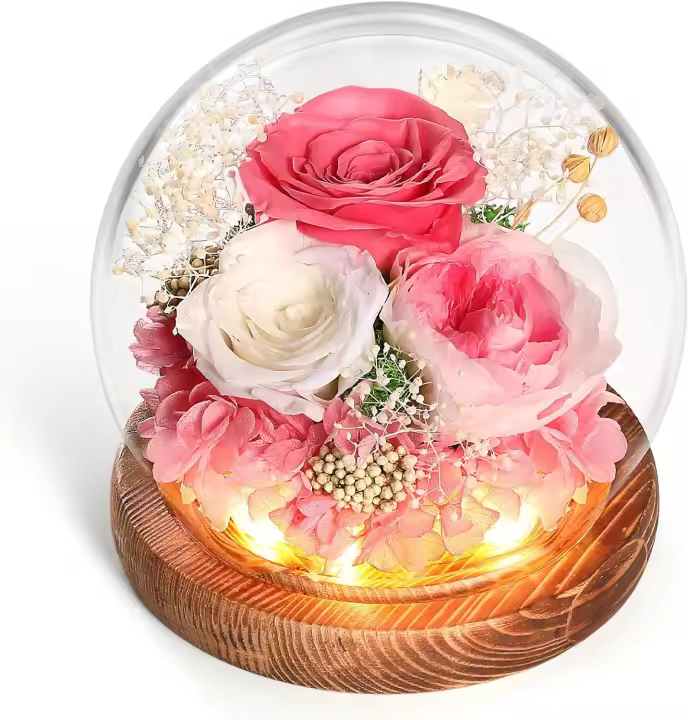 Nueva Rosa Eterna con Luces LED Rosa Eterna Natural Preservada Regalos de Cumpleaños San Valentín - 1
