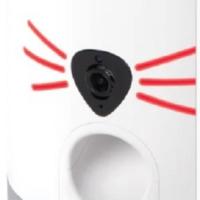 comedero gato; comedero video gato; comedero foto gato; comedero automatico gato;
