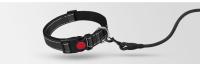dog leash