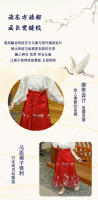 Falda con cara de caballo para niña, edición de otoño 2025, conjunto de primavera, ropa para niños Hanfu de estilo chino antiguo - details 1