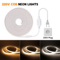 Tira de neón COB para exteriores, cinta Flexible de alto brillo, impermeable IP65, 220 LED/m, RA90, para decoración del hogar y el jardín, 288 V - details 1