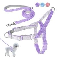 Conjunto arnés de nailon perro, correa sin tirones cachorros, chaleco mascotas con plomo caminar, ustable para perros pequeños y - details 2