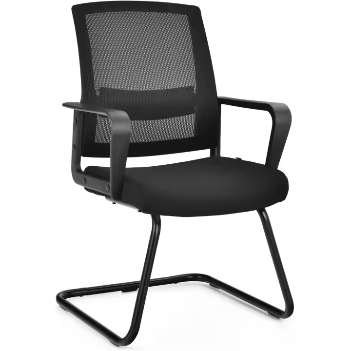 Silla de Conferencia, Silla de Reunión con Base Resistente Forma de Trineo, Sillas Cantilever Respaldo Ergonómico y Asiento Acolchado, Soporte Lumbar Regulable y Reposabrazos (estilo1, 1) - 1