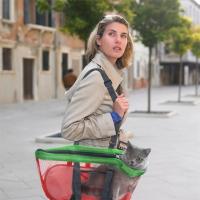 Bolso de mano para mascotas, bolsa de gran capacidad, transpirable, portátil, plegable, para exteriores - details 2