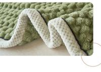 Manta cálida de terciopelo esponjoso para dormir, mantas suaves y cómodas de lana de Coral para la cama, manta gruesa cálida y acogedora para otoño e invierno, nueva - details 4