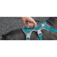 arnés para perros
