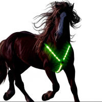 Brilla en la Oscuridad Vestidor de Seguridad para Caballos Telérico Recargable Luz para Paseos Nocturnos Correas Ajustables Material de Poliéster - details 0