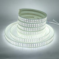 Tira de luces LED regulable con Control WIFI, cinta impermeable de 220V, súper brillante, doble fila, 5730, 240LED/m, decoración del hogar - details 4