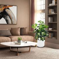 Gran Planta Tropical Falsa Cabeza de 75cm, Hojas de Monstera, Jungla de Plástico, Palma Falsa - details 0