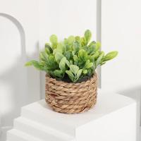 Plantas artificiales de Eulyptus, material de pila de hierba tejida de 11cm, decoración del hogar - details 15