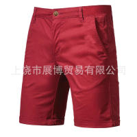 Verano nuevos hombres casuales recta cinco pantalones cortos de trabajo masculino - details 4