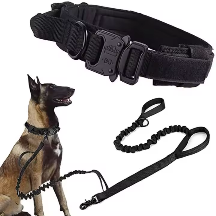 Correa de Entrenamiento al Aire Libre para Perros Medianos y Grandes Collar Incluido - 1