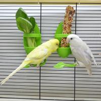 Estación de Alimentación Saludable para Frutas y Verduras Accesorio Perfecto para Jaulas de Pájaros - details 0