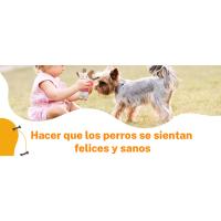 Juguetes para Perros