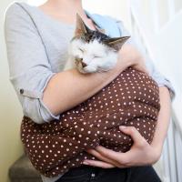 Bolso de hombro transpirable para mascotas, bolso cruzado con correas anchas para gato, cómodo con anillo de bloqueo, bolsa transportadora para perros para viajes - details 9
