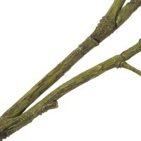Rama de árbol de simulación de plástico de lujo, sauce Artificial de 120cm, planta falsa realista elegante, decoración para sala de estar - details 9