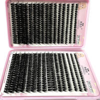 640Pcs Extensiones De Pestañas Falsas 8D Gruesas Y Sueltas De D Curl Puntas Afiladas Tamaño 8-16mm Conjunto De Clusters Individuales Para Maquillaje Profesional - details 0